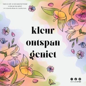 inlegvel cozy coloring